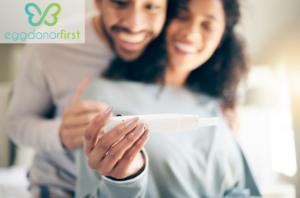 Pregnancy W Donor Eggs