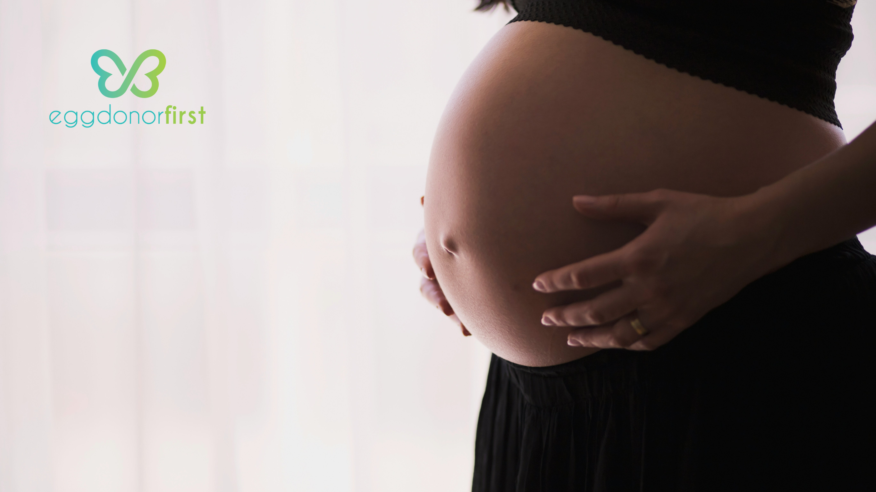 Eggdonorvssurrogateblogcover