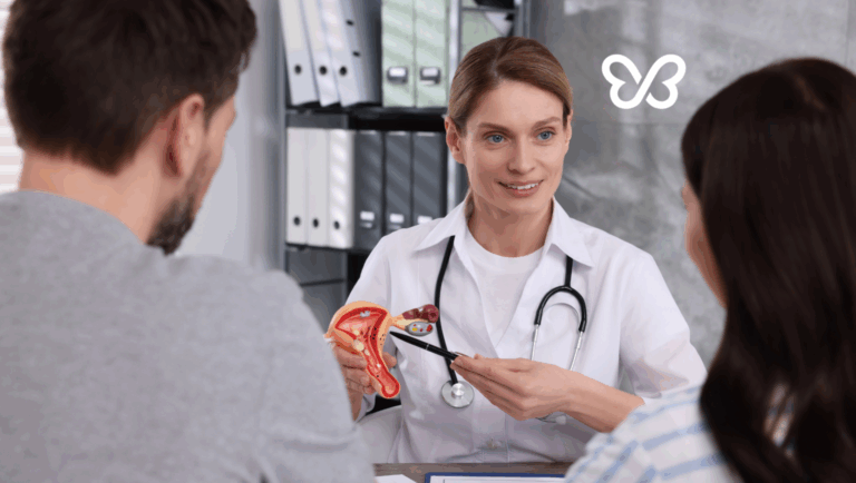 Egg donor cost 1536x868