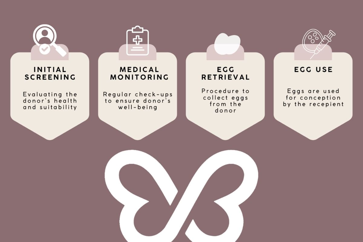 Eggdonorfirst egg donation process infographic