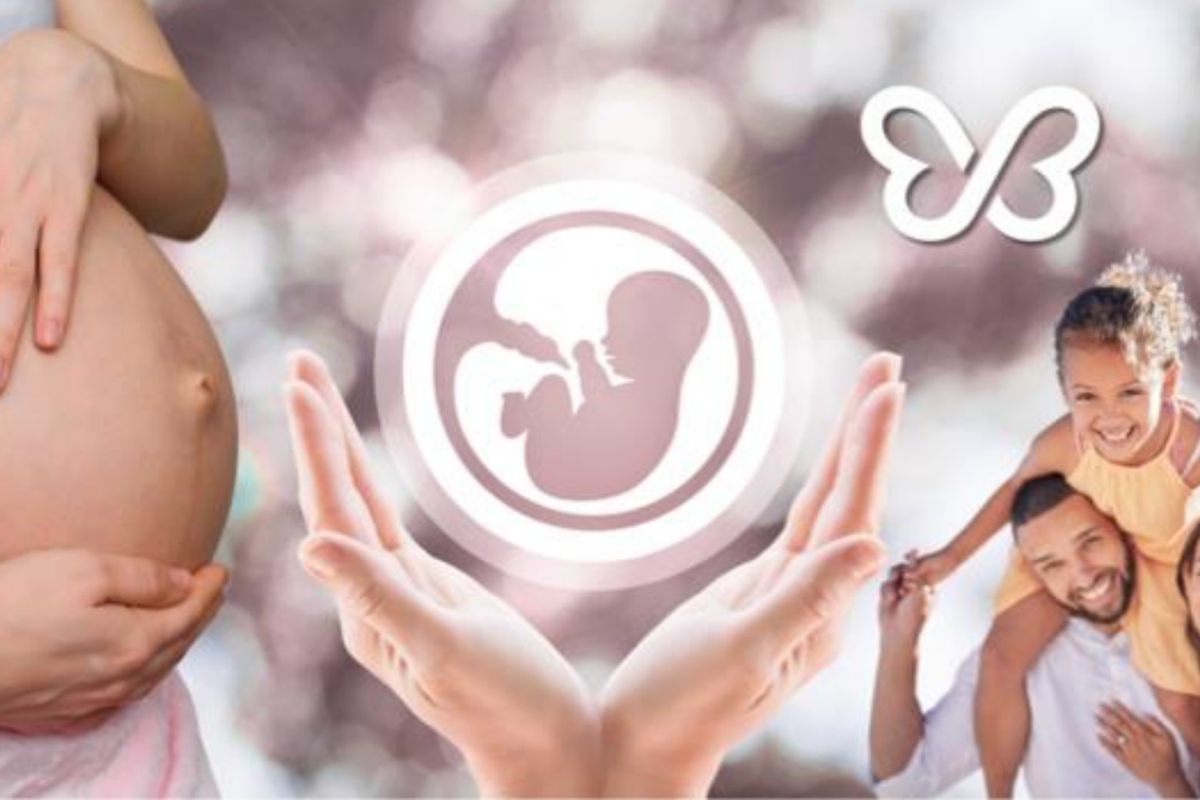 Eggdonorfirst egg donation process visual 2