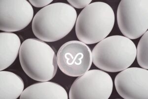 Eggdonorfirst egg donation process visual