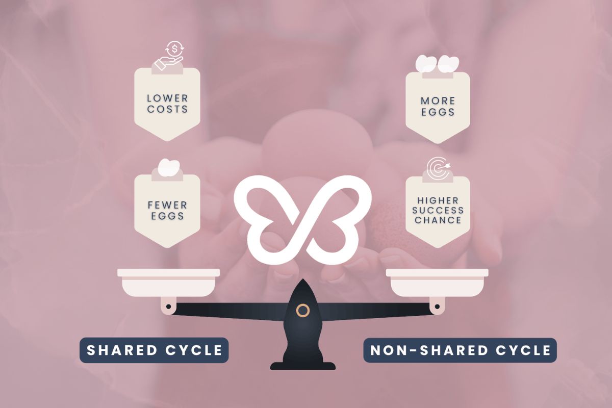 Shared vs nonshared cyle eggdonation
